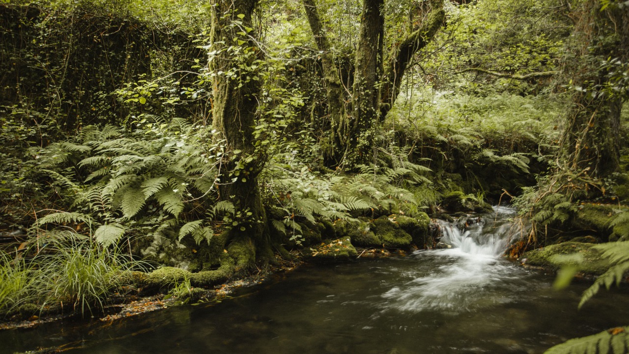 Photo of Outdoor in Morana