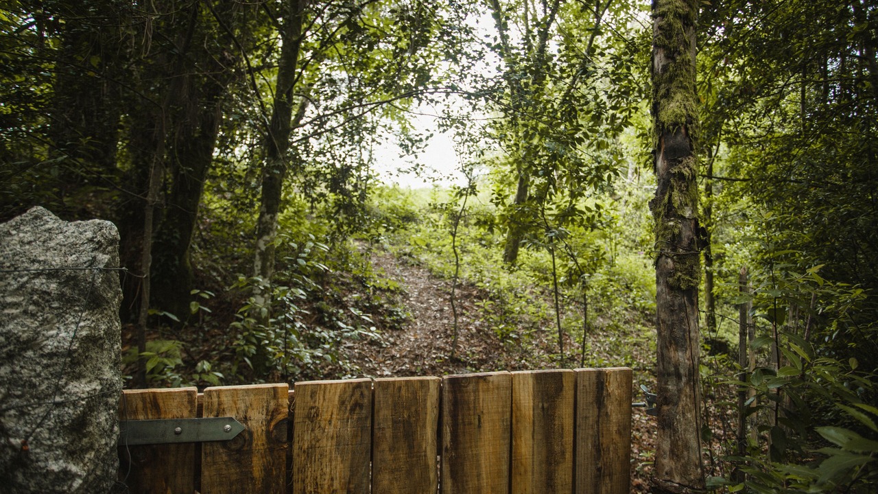 Photo of Outdoor in Morana