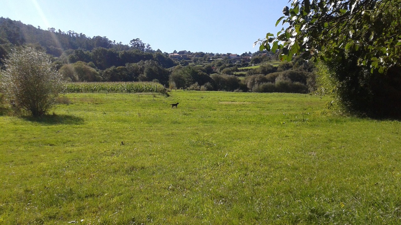 Photo of Outdoor in Morana