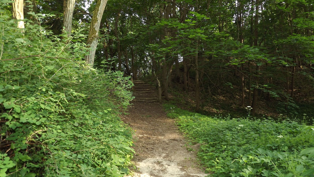 Photo of Outdoor in Milow
