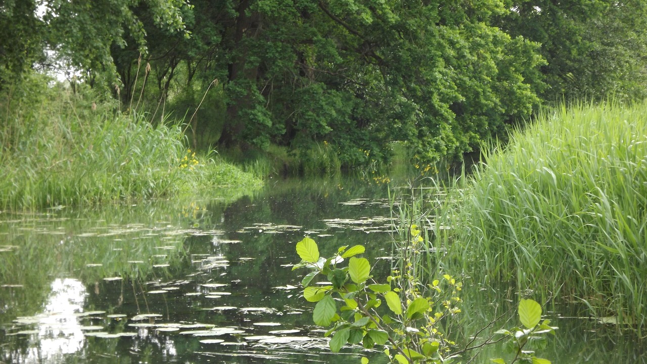 Photo of Outdoor in Milow