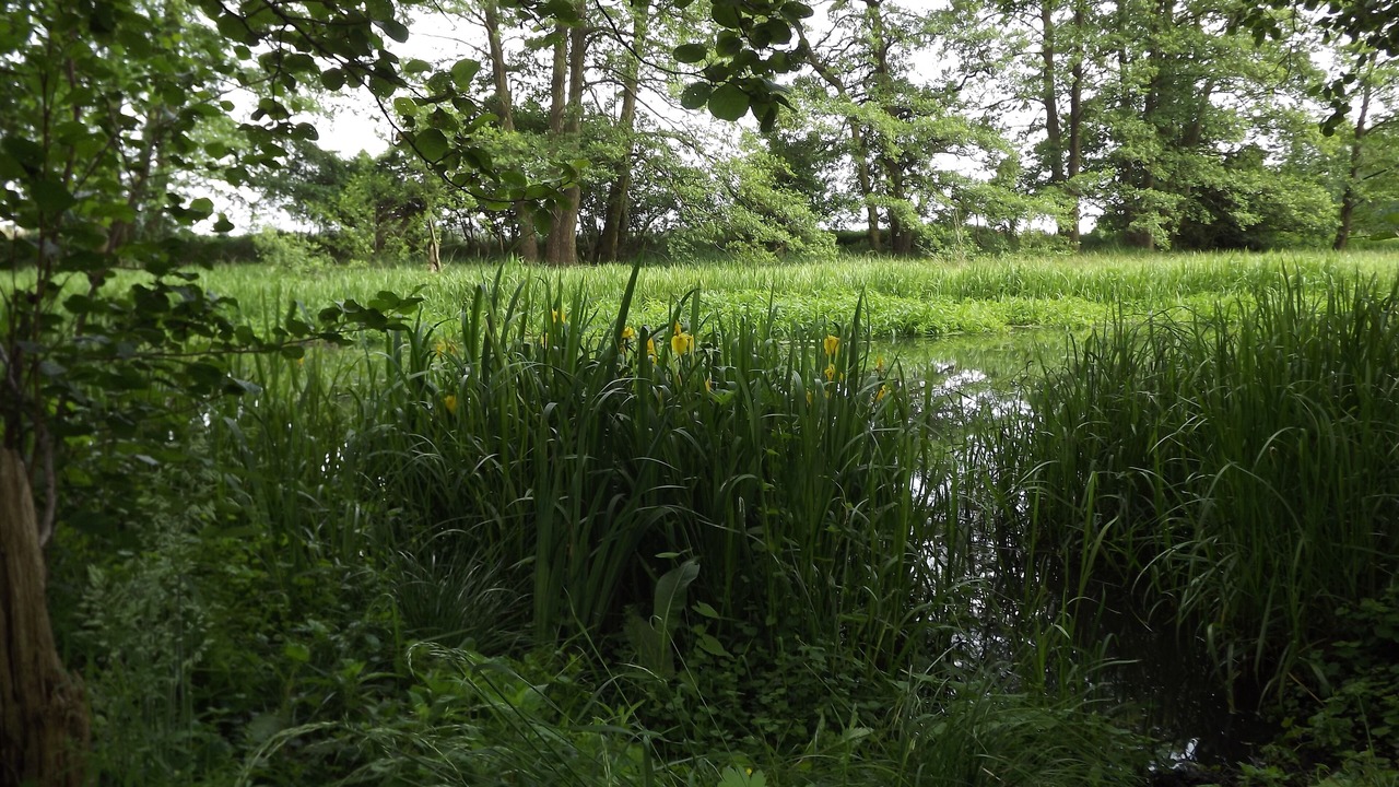 Photo of Outdoor in Milow