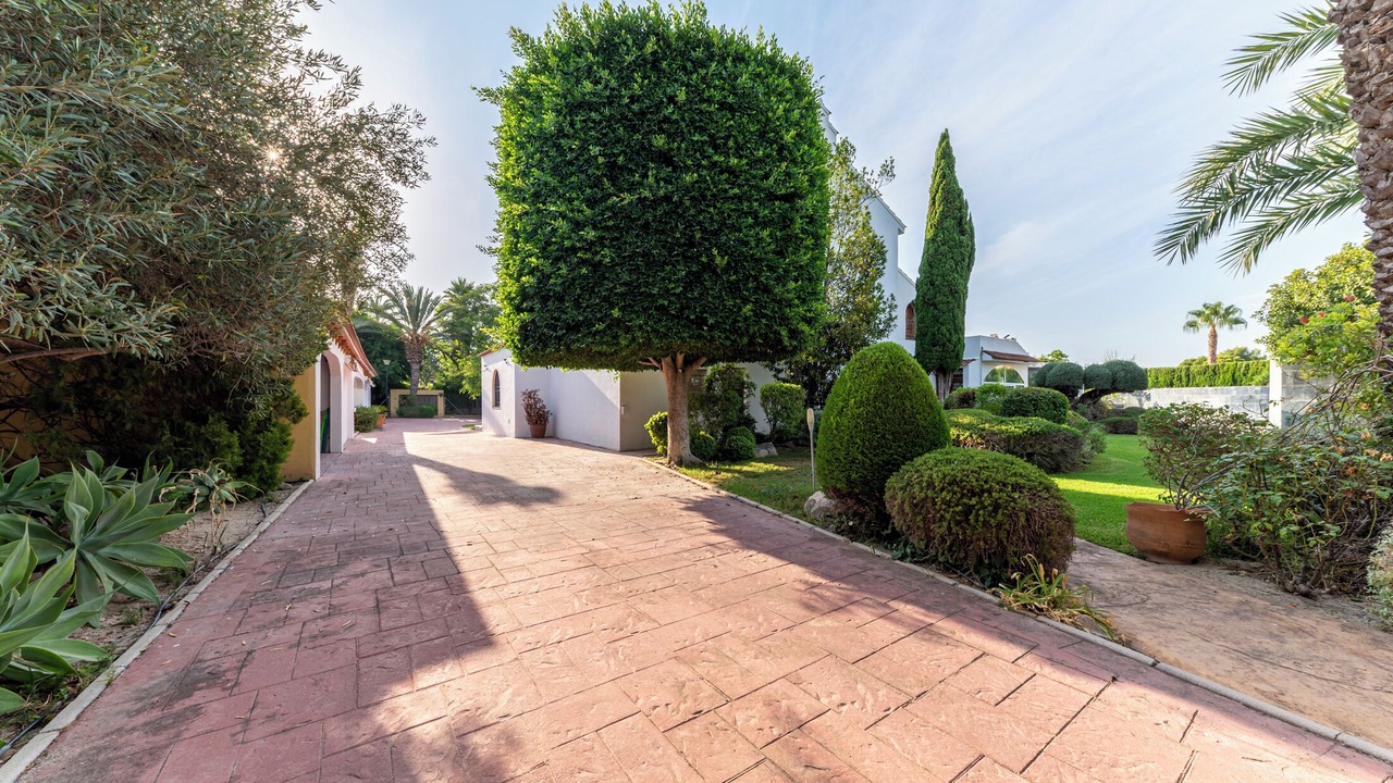 Photo of Outdoor in Elche