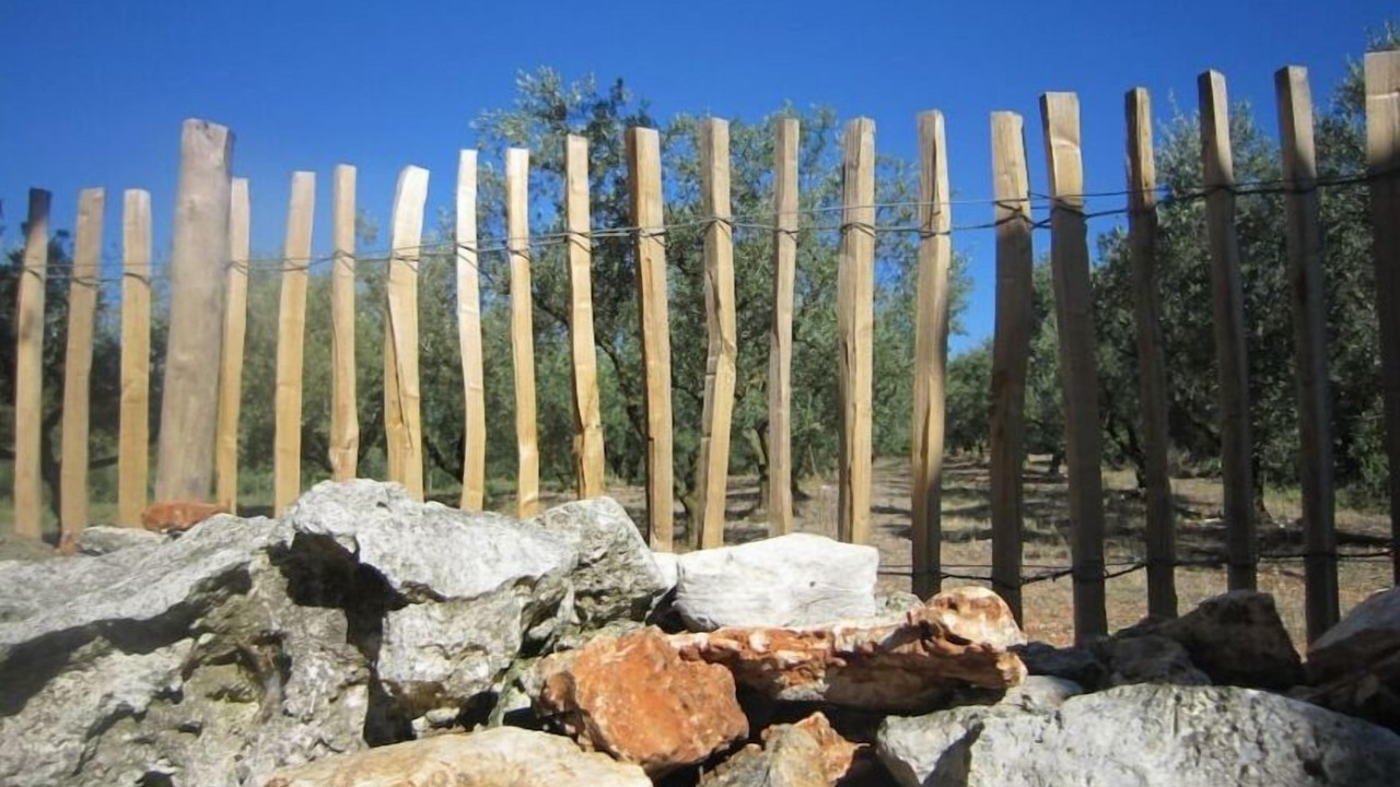 Photo of Outdoor in Salinelles