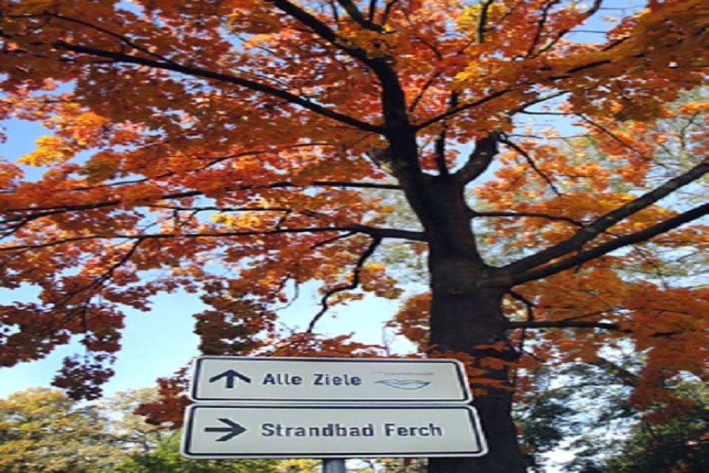 Photo of Others in Schwielowsee