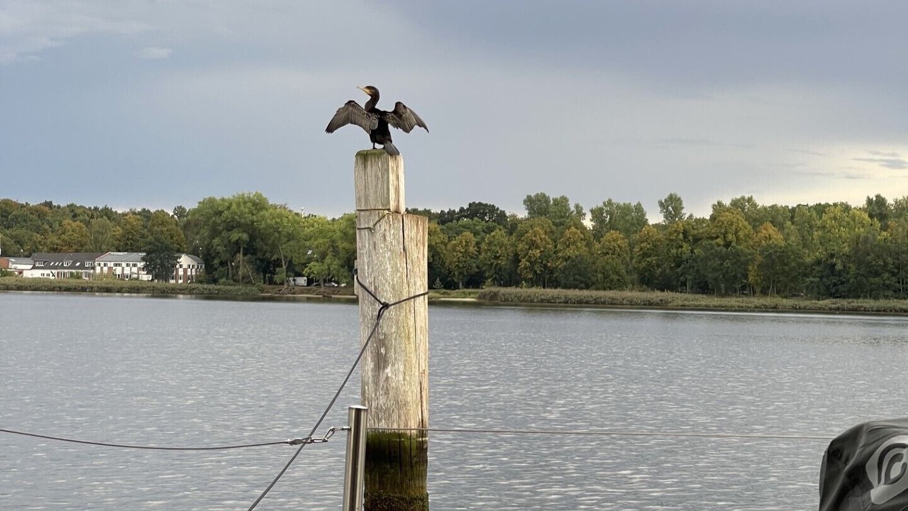 Photo of Others in Luebeck
