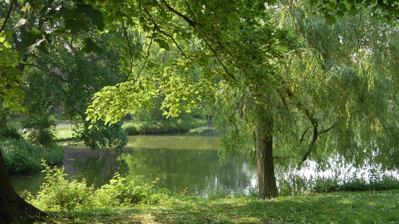 Photo of Outdoor in Sudstadt-Bult