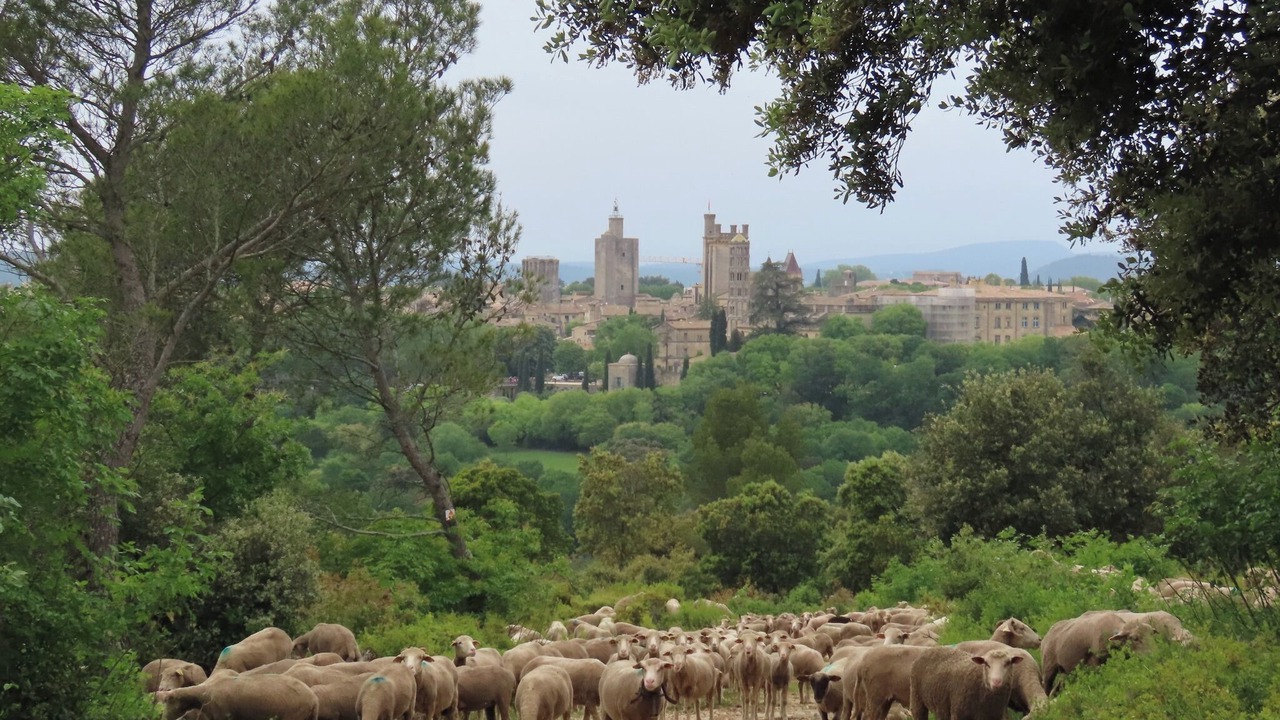 Photo of Others in La Calmette