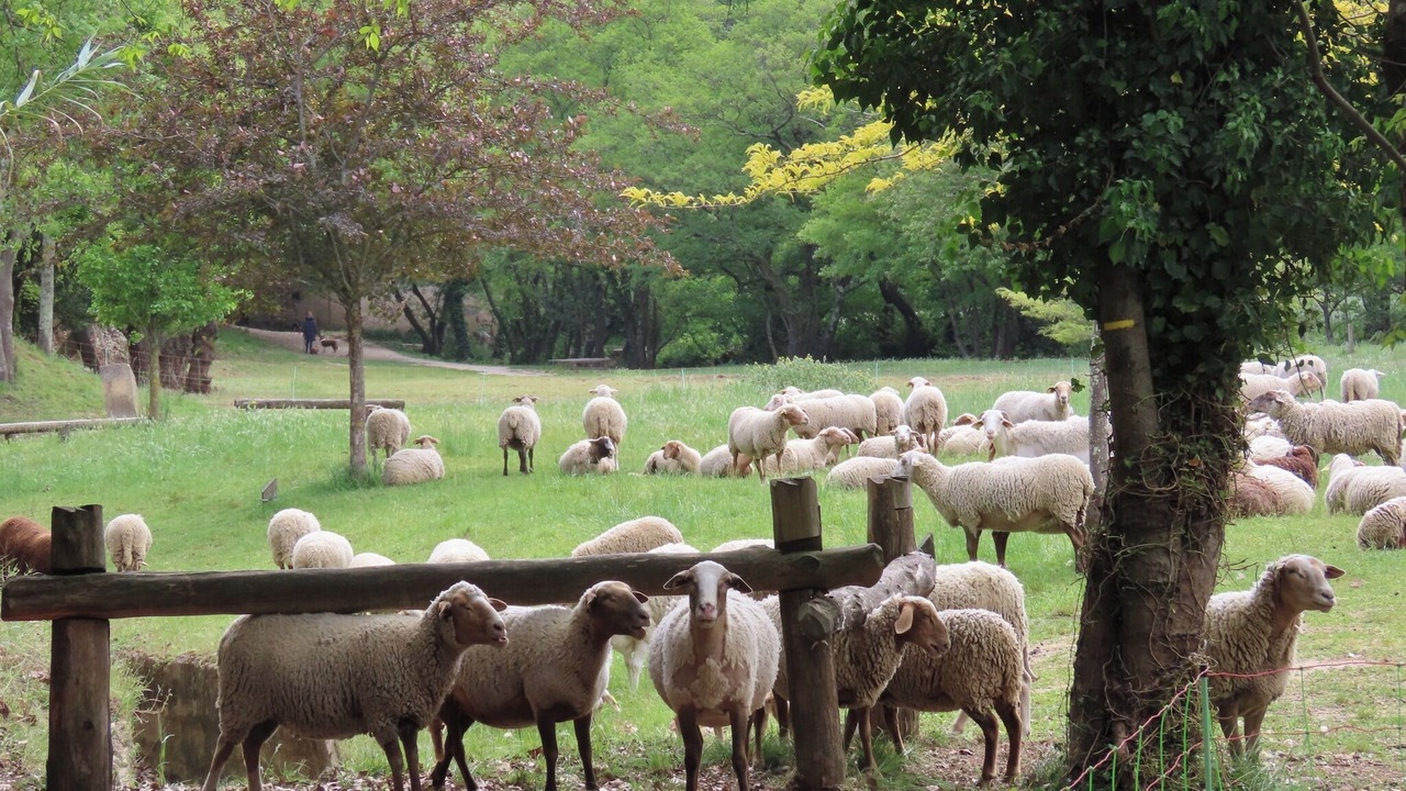 Photo of Others in La Calmette