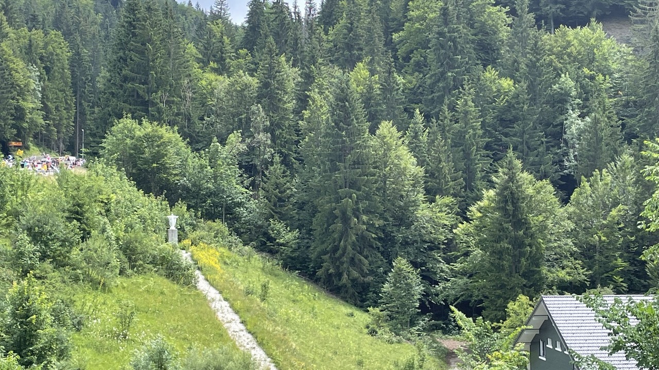 Photo of Outdoor in Les Rousses