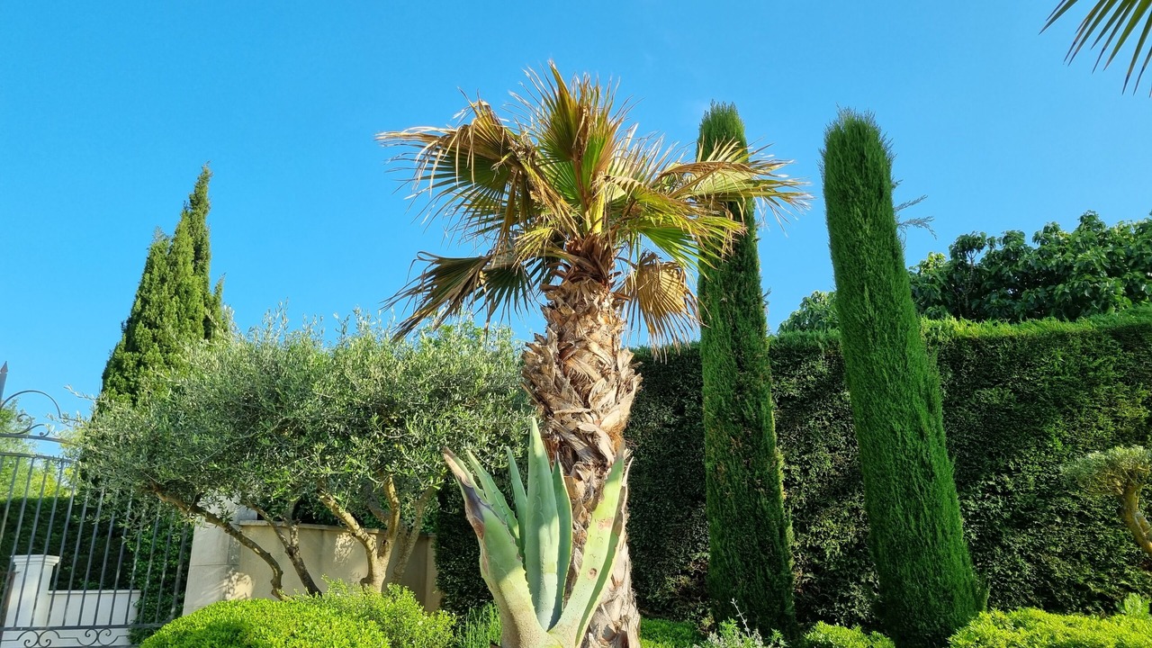 Photo of Outdoor in Entraigues-sur-la-Sorgue