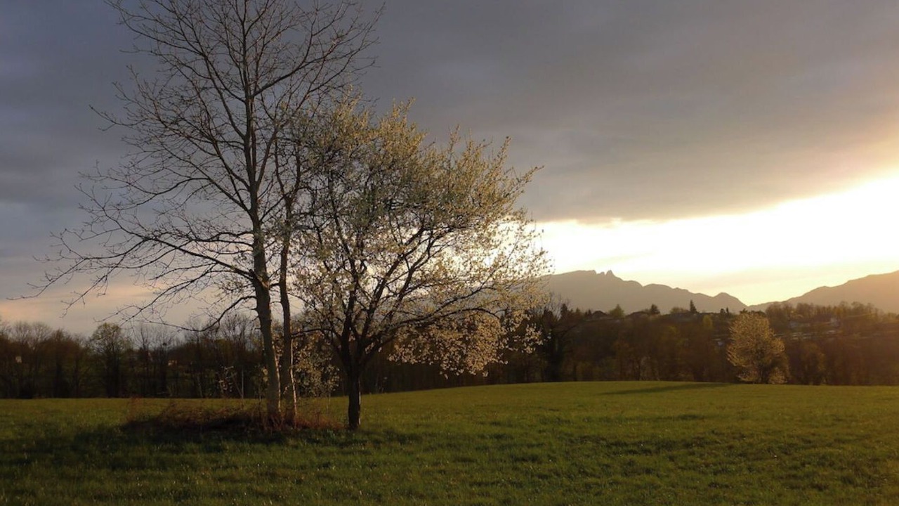Photo of Outdoor in Trevignin