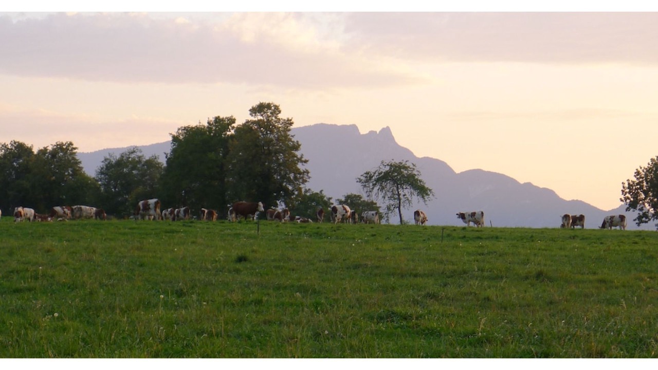 Photo of Others in Trevignin
