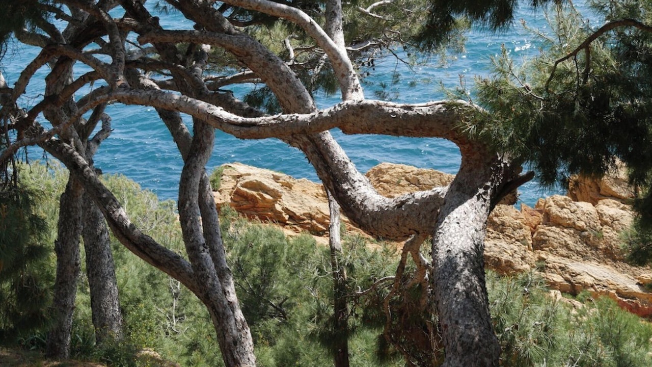 Photo of Outdoor in Ensues-la-Redonne