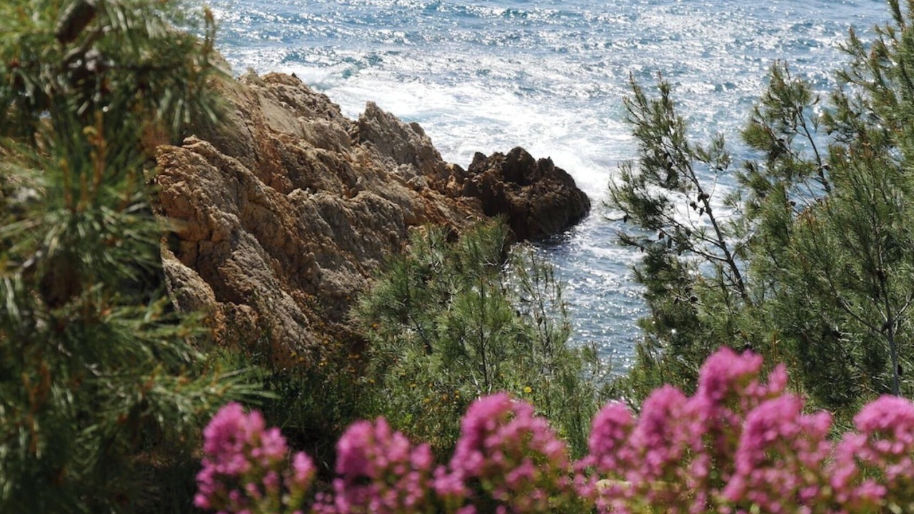 Photo of Outdoor in Ensues-la-Redonne