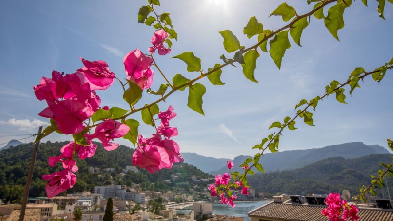 Photo of Others in Puerto de Soller