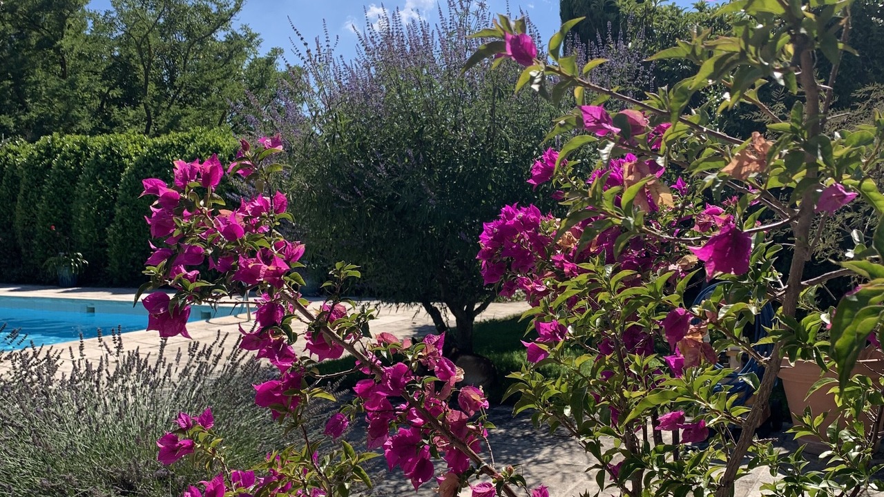 Photo of Outdoor in Eygalieres