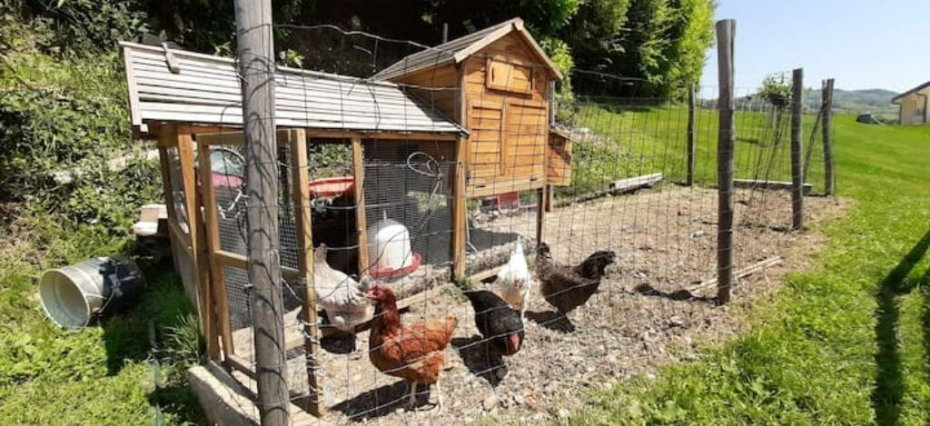 Photo of Outdoor in Colombe