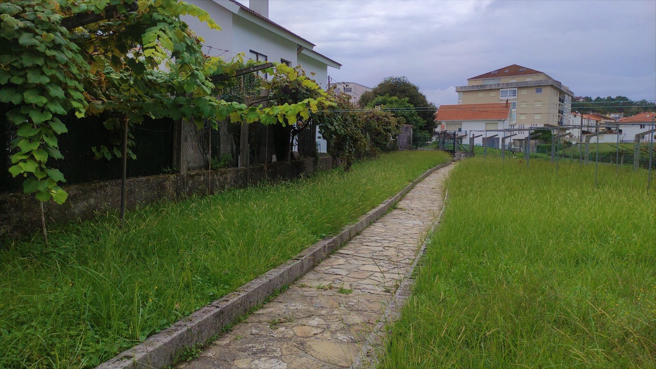 Photo of Outdoor in Muros