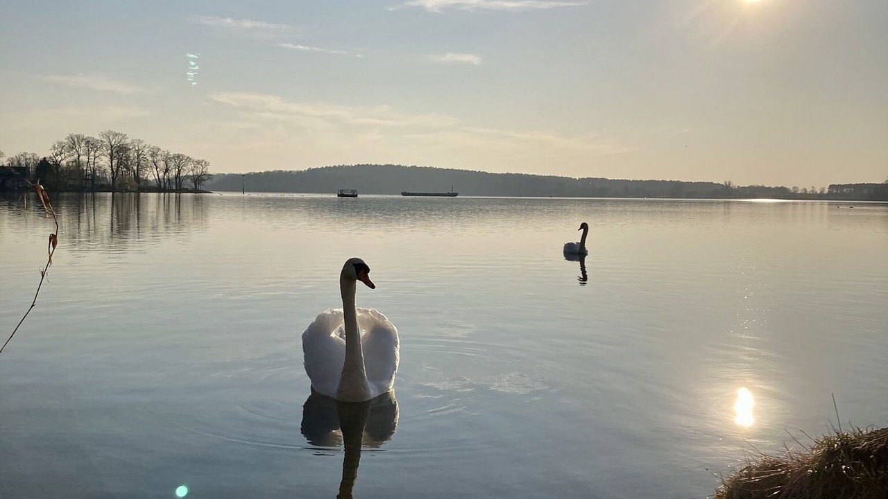 Photo of Others in Nordliche Ortsteile