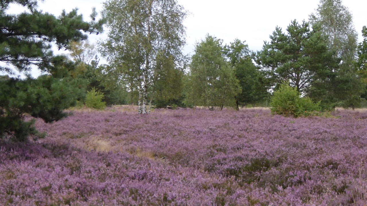 Photo of Outdoor in Marienstein