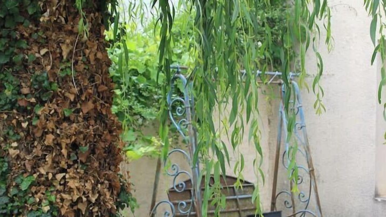 Photo of Outdoor in Rognonas