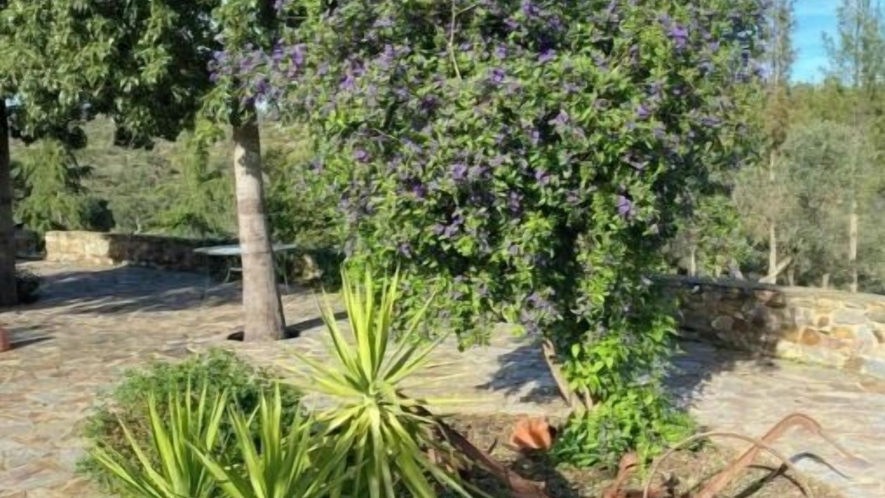 Photo of Outdoor in San Vicente de Alcantara