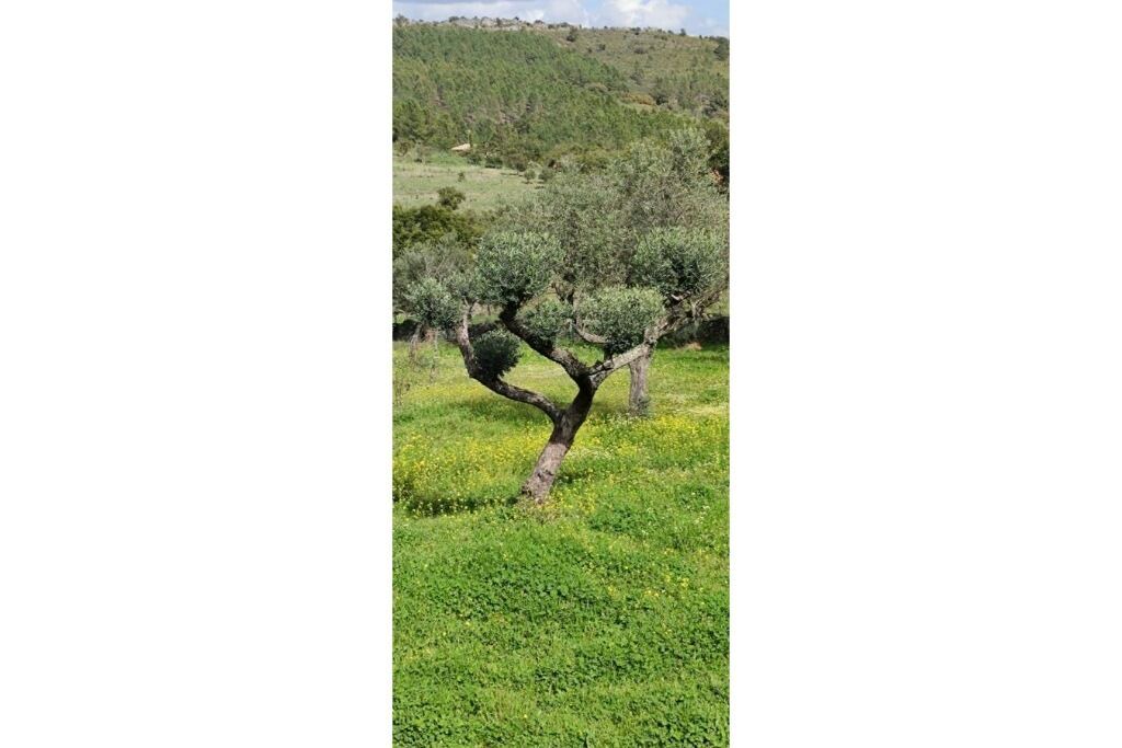 Photo of Outdoor in San Vicente de Alcantara