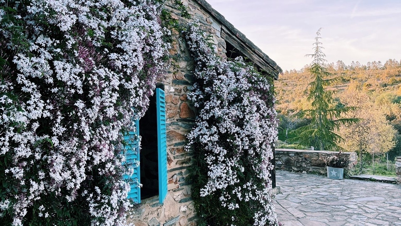 Photo of Outdoor in San Vicente de Alcantara