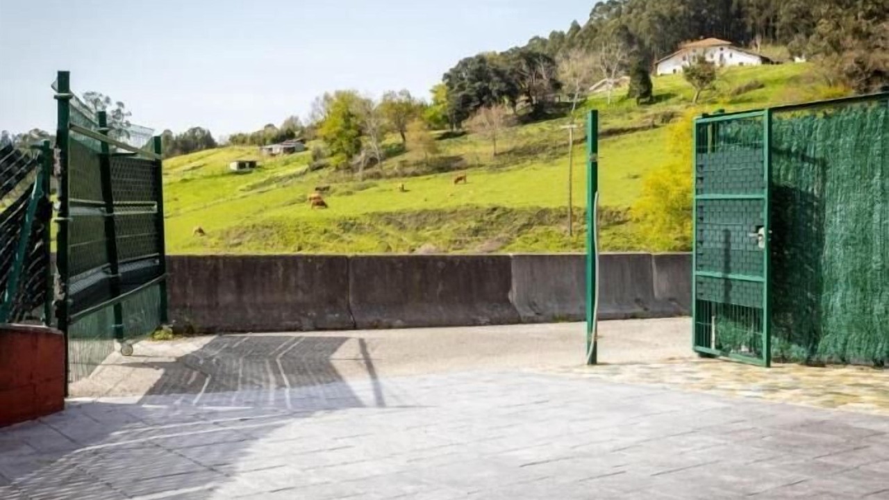 Photo of Others in Ibarranguelua