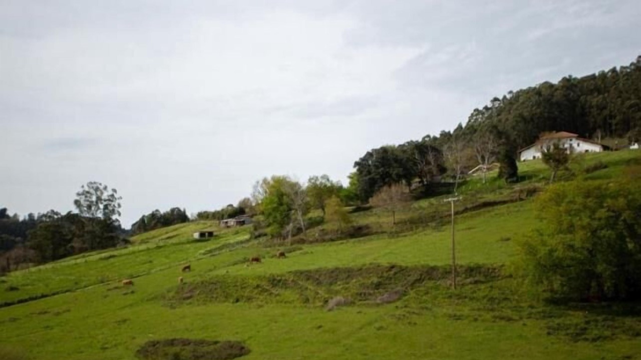 Photo of Outdoor in Ibarranguelua