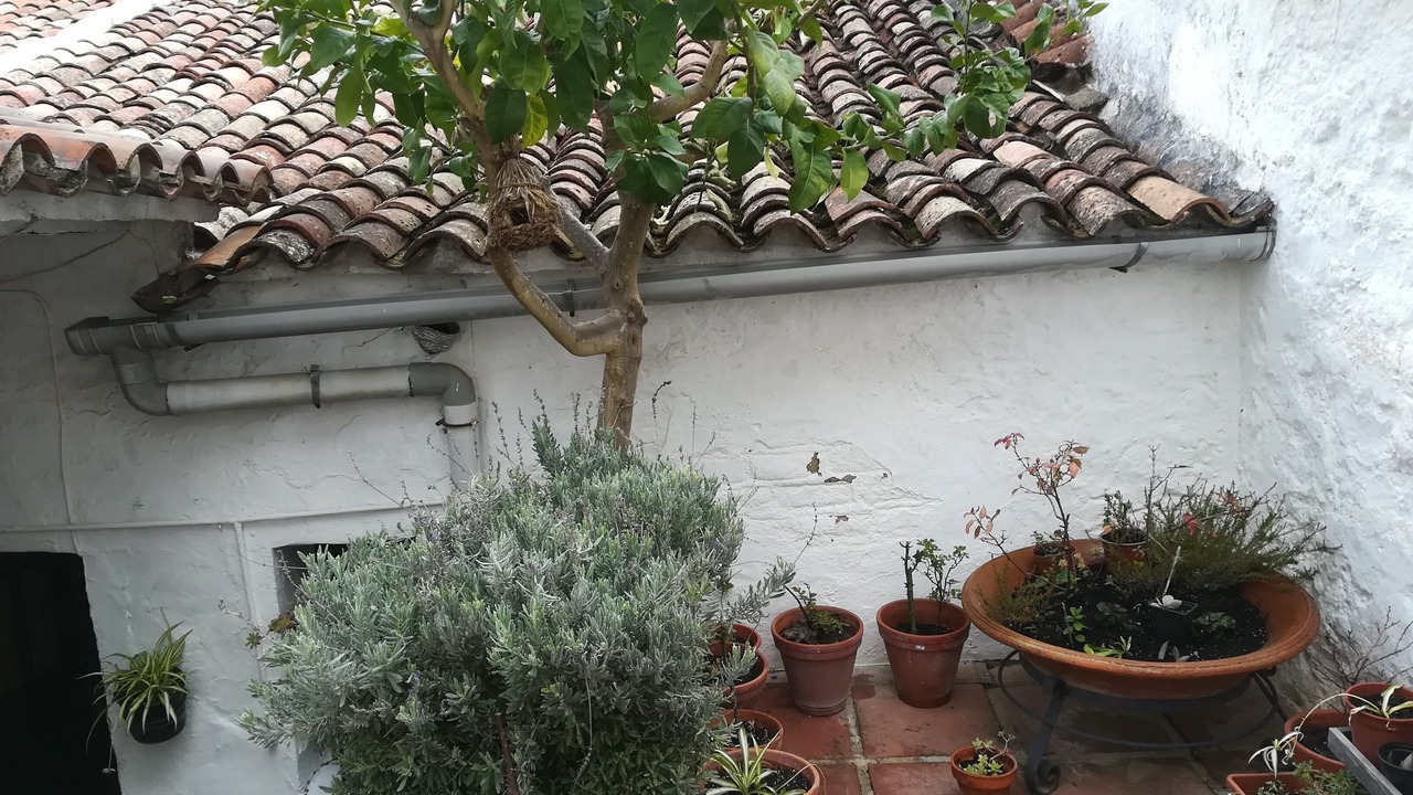Photo of Outdoor in Grazalema