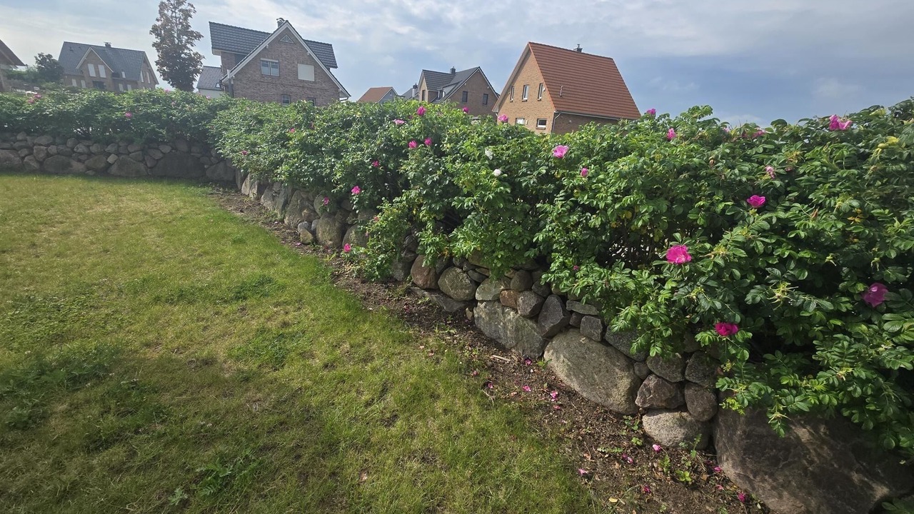 Photo of Outdoor in Dassow