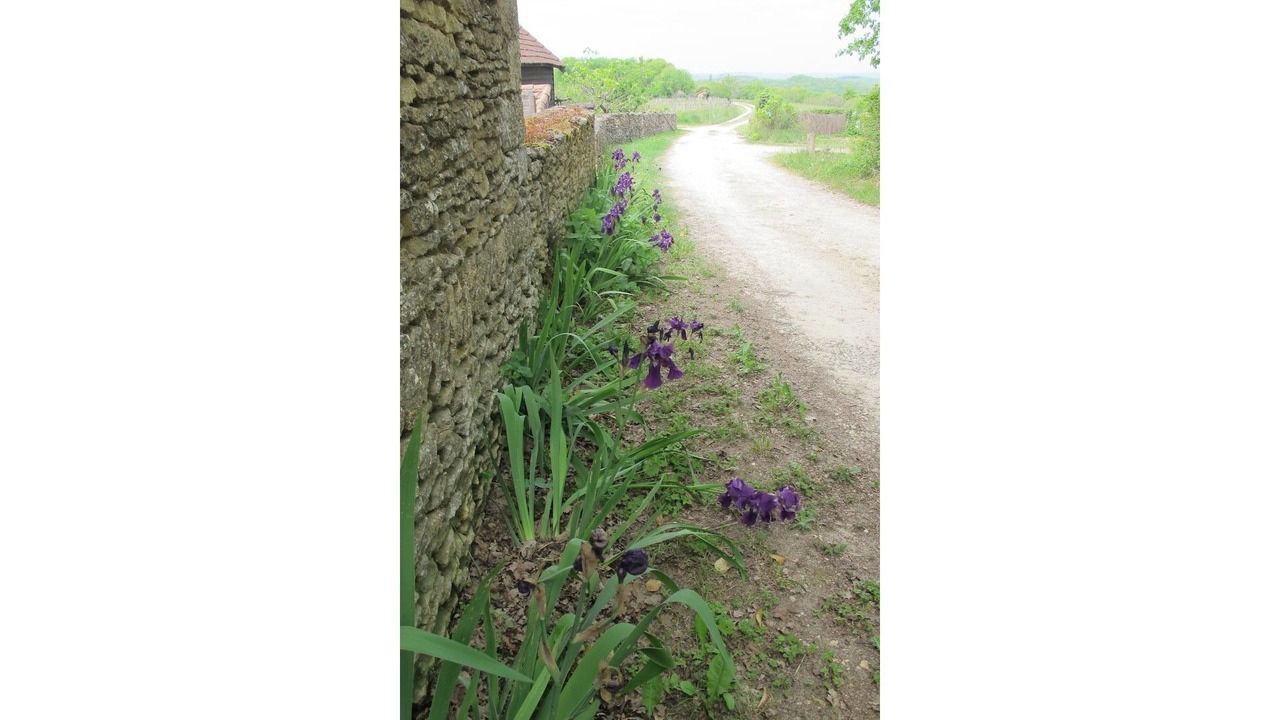 Photo of Outdoor in Saint-Amand-de-Coly