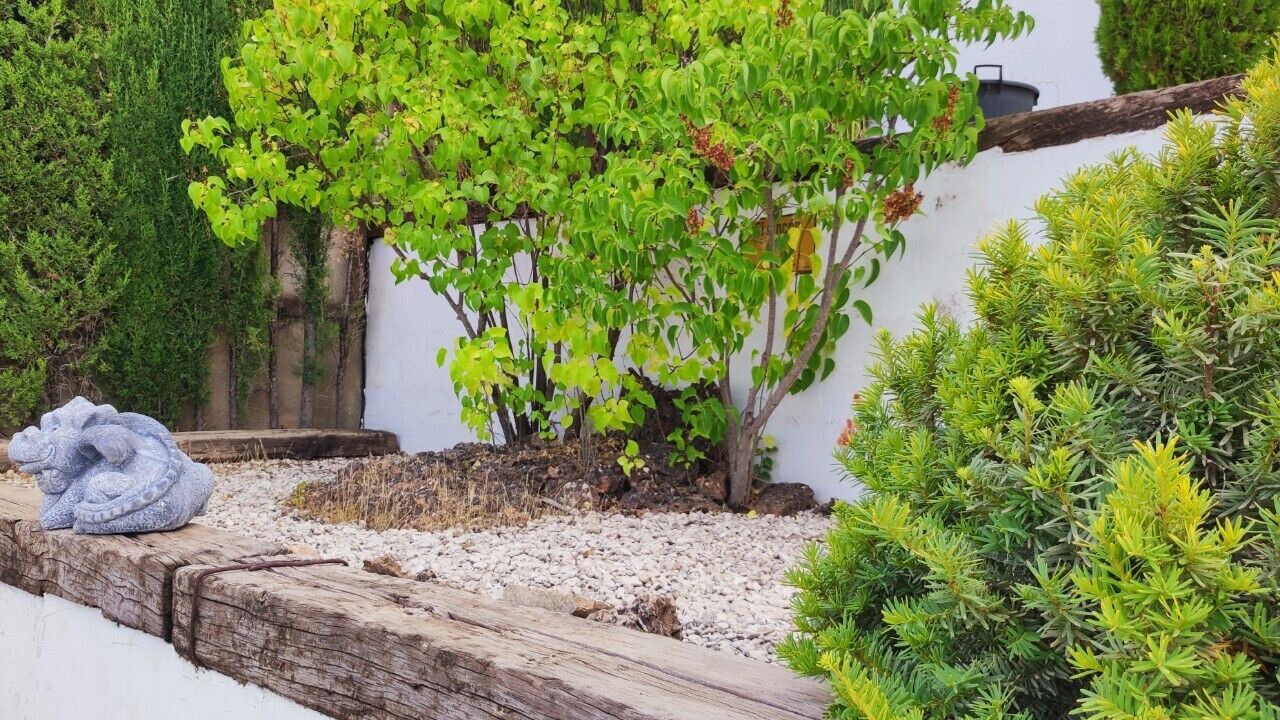 Photo of Outdoor in La Zubia