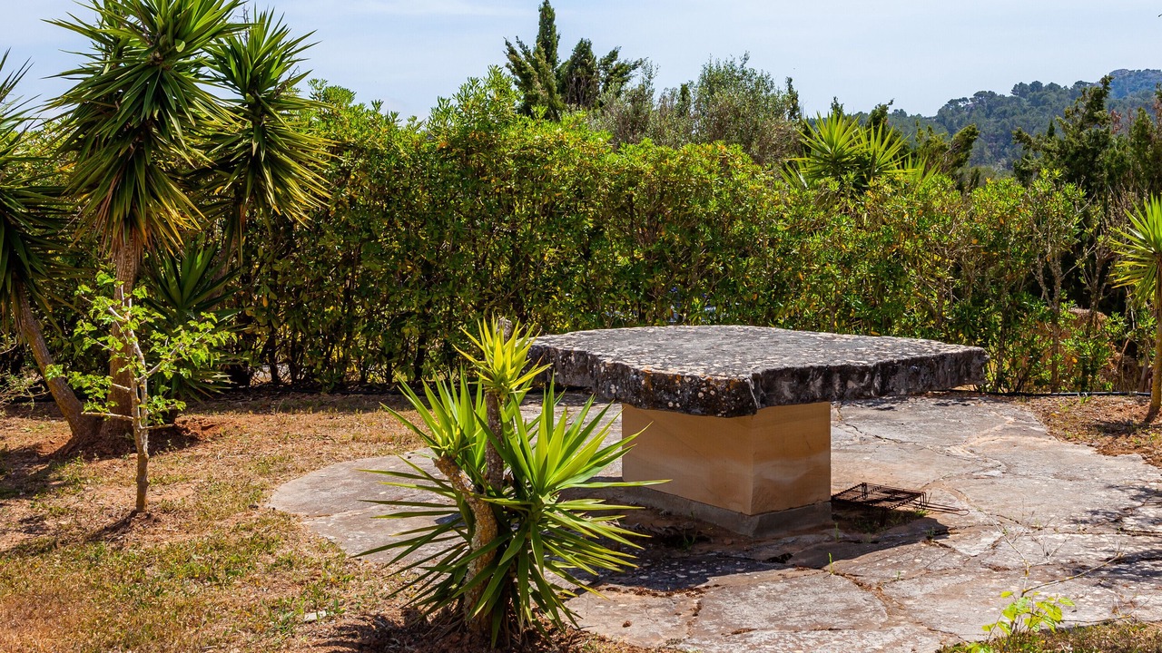 Photo of Patio Balcony in Son Macia
