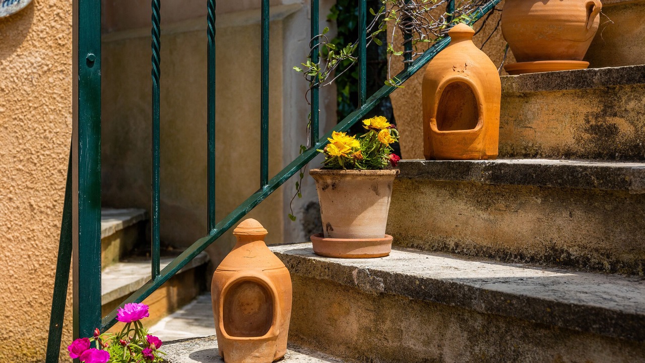 Photo of Outdoor in Son Macia