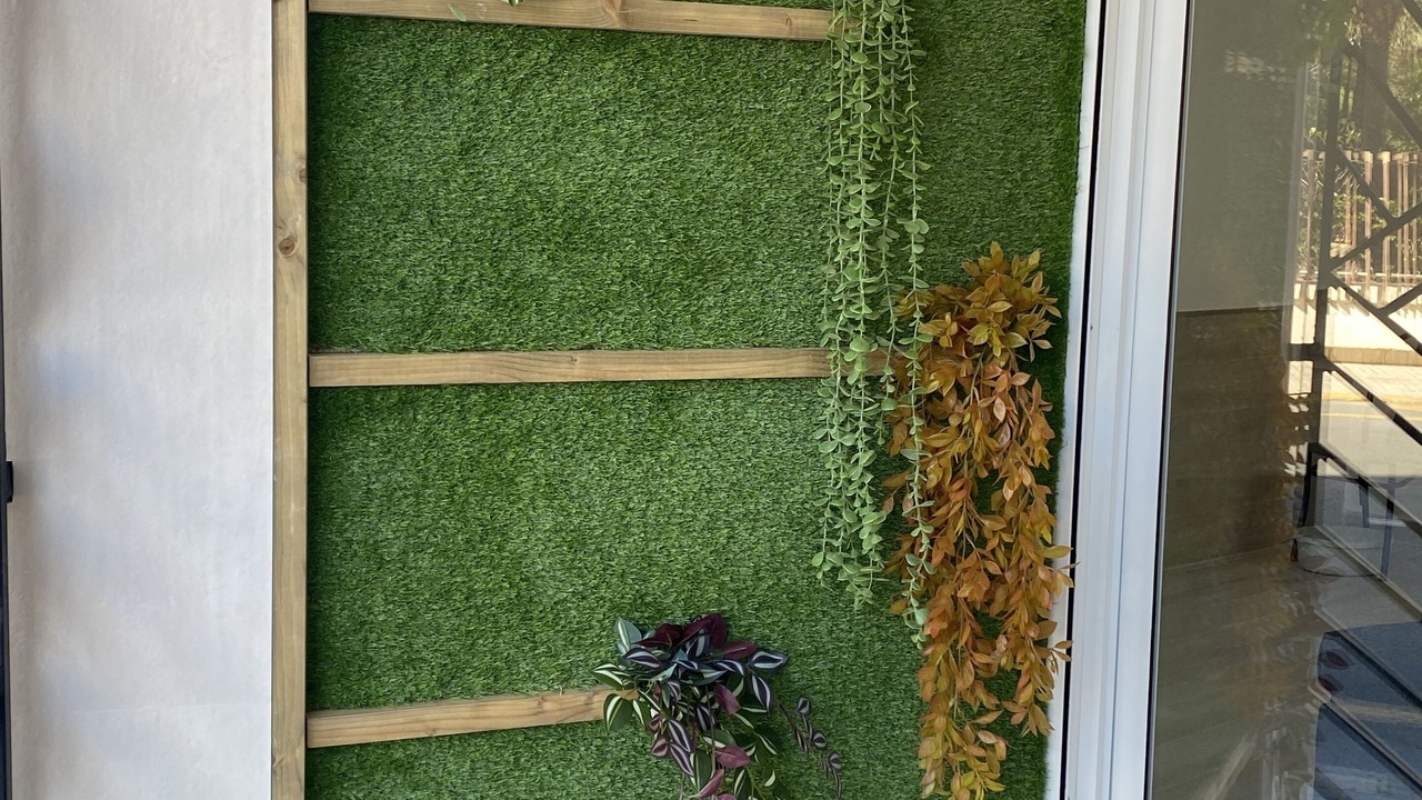 Photo of Outdoor in Elche