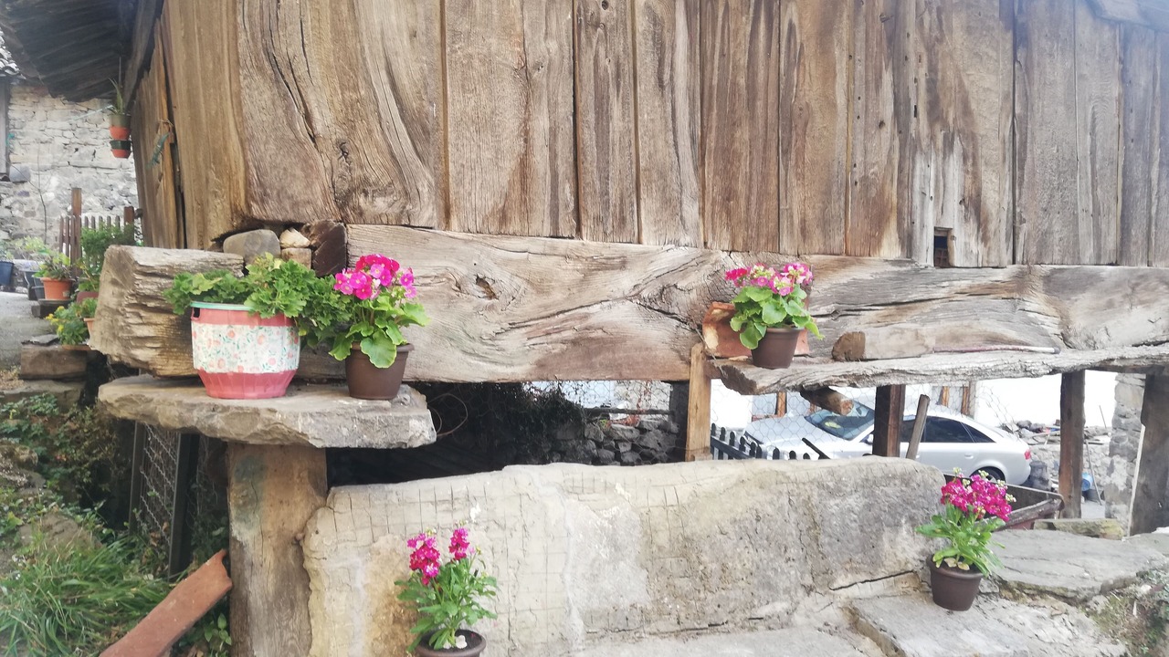 Photo of Outdoor in Aller