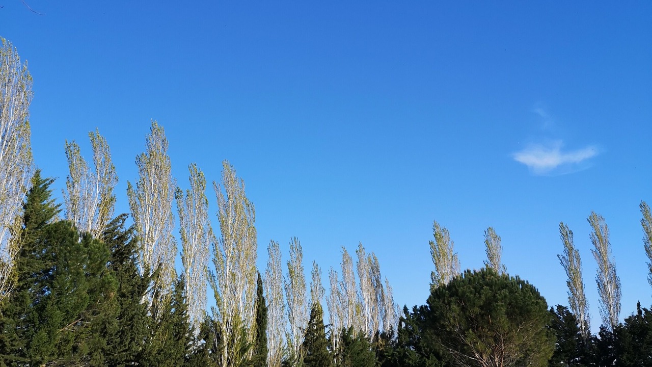 Photo of Outdoor in Beaucaire