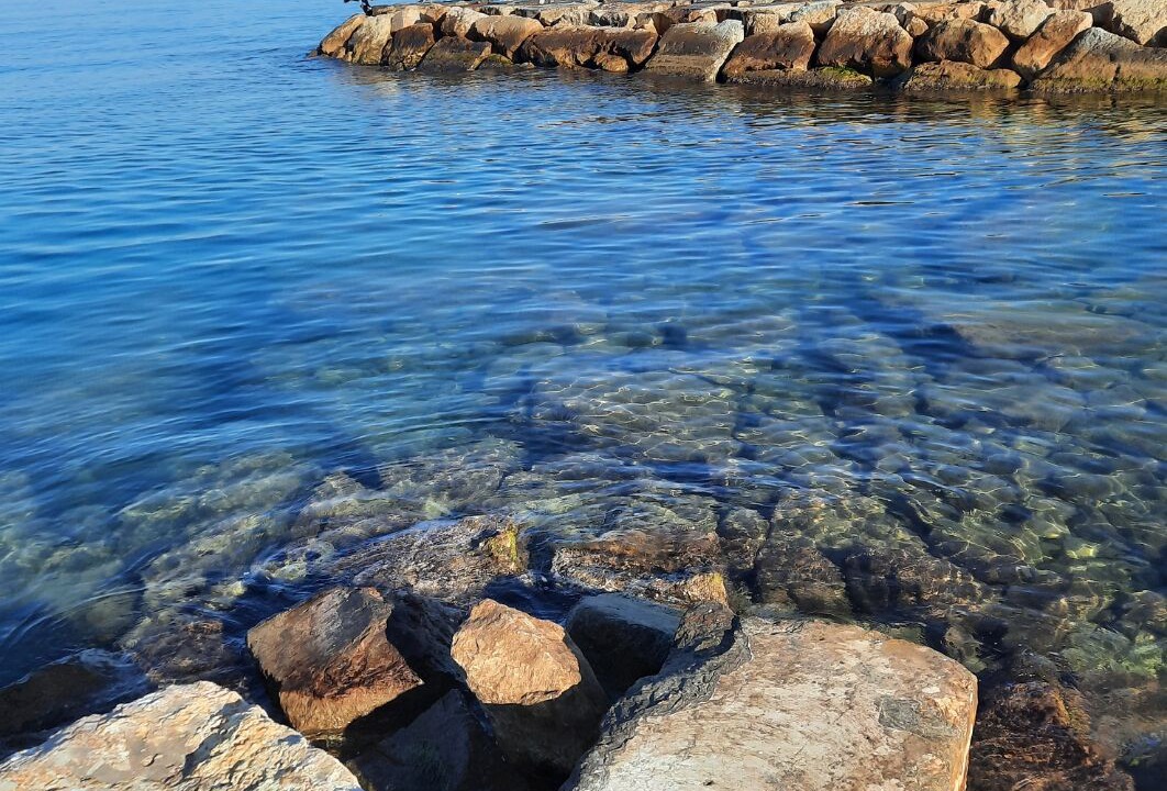 Photo of Others in Vinaros