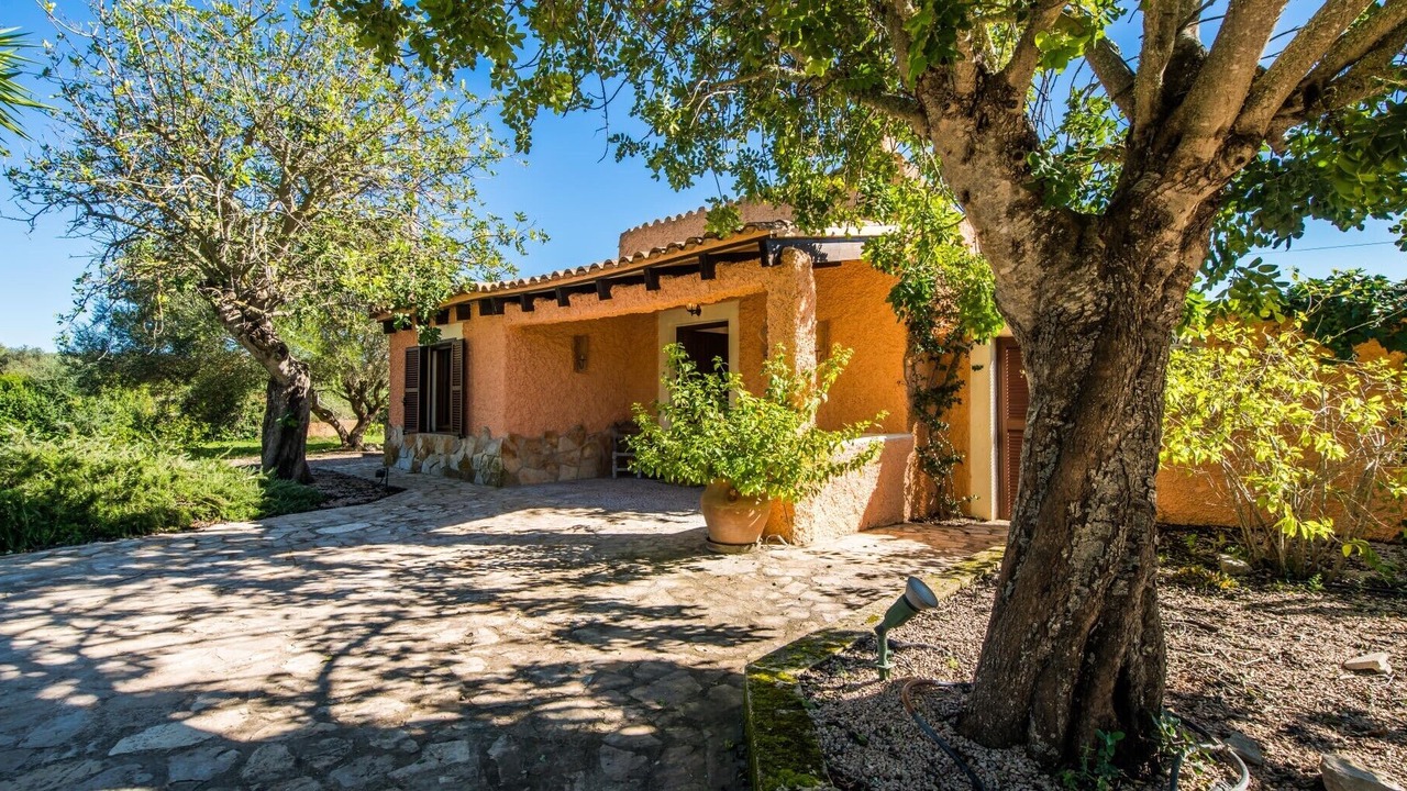 Photo of Outdoor in Arta