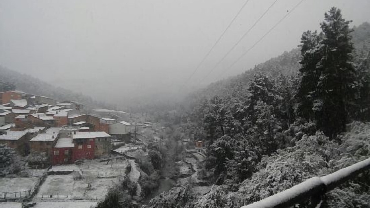 Photo of Patio Balcony in Pinofranqueado
