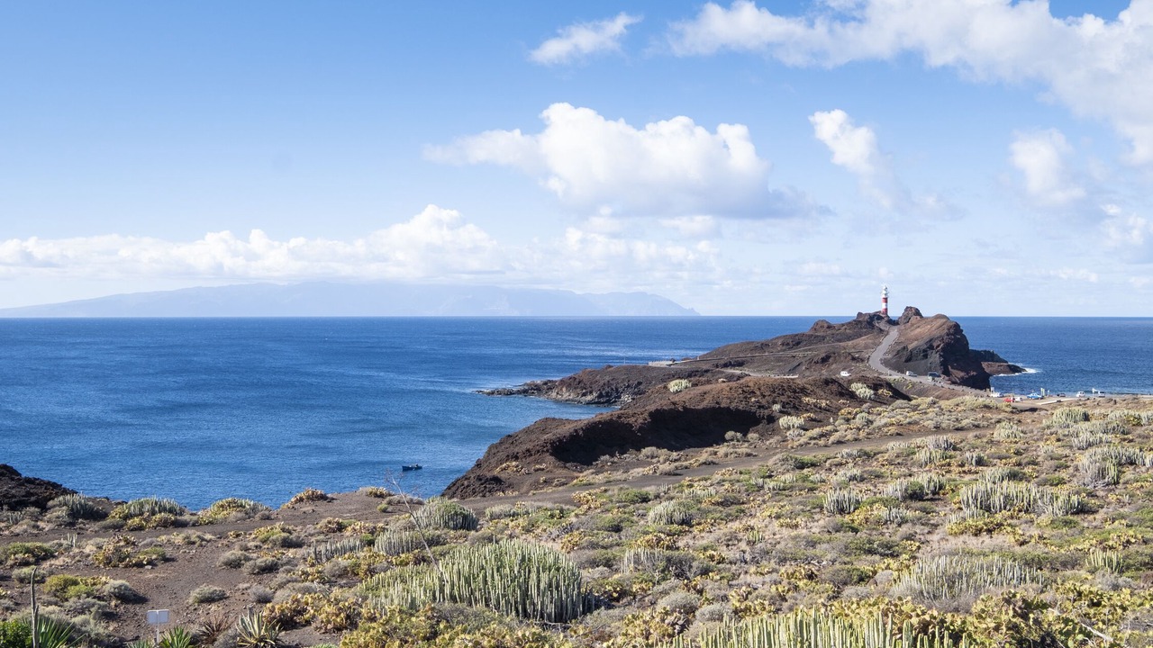 Photo of Others in Buenavista del Norte