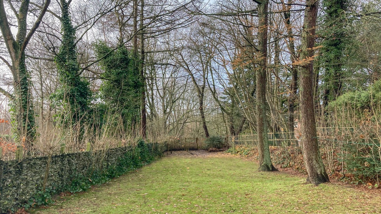 Photo of Outdoor in Schobull