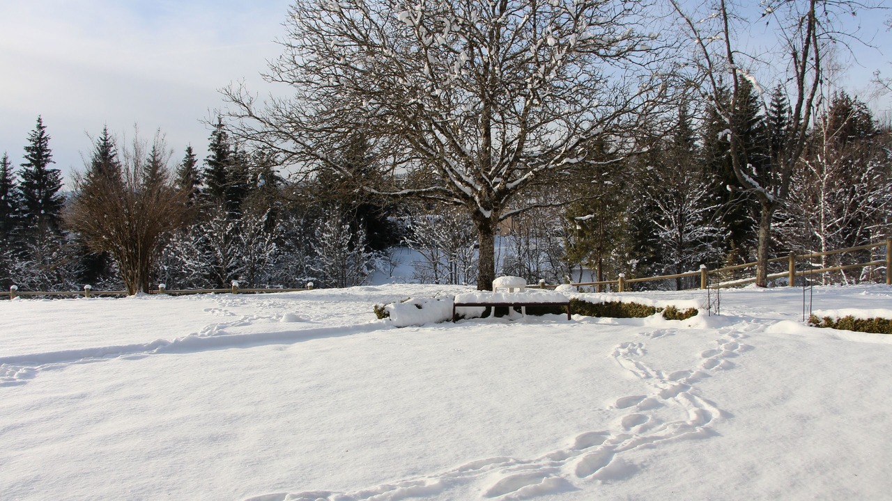 Photo of Outdoor in Echallon