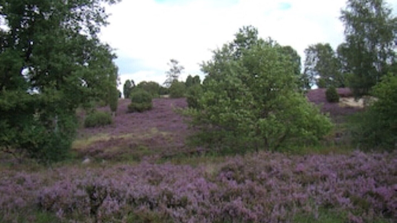 Photo of Outdoor in Munster im Heidekreis