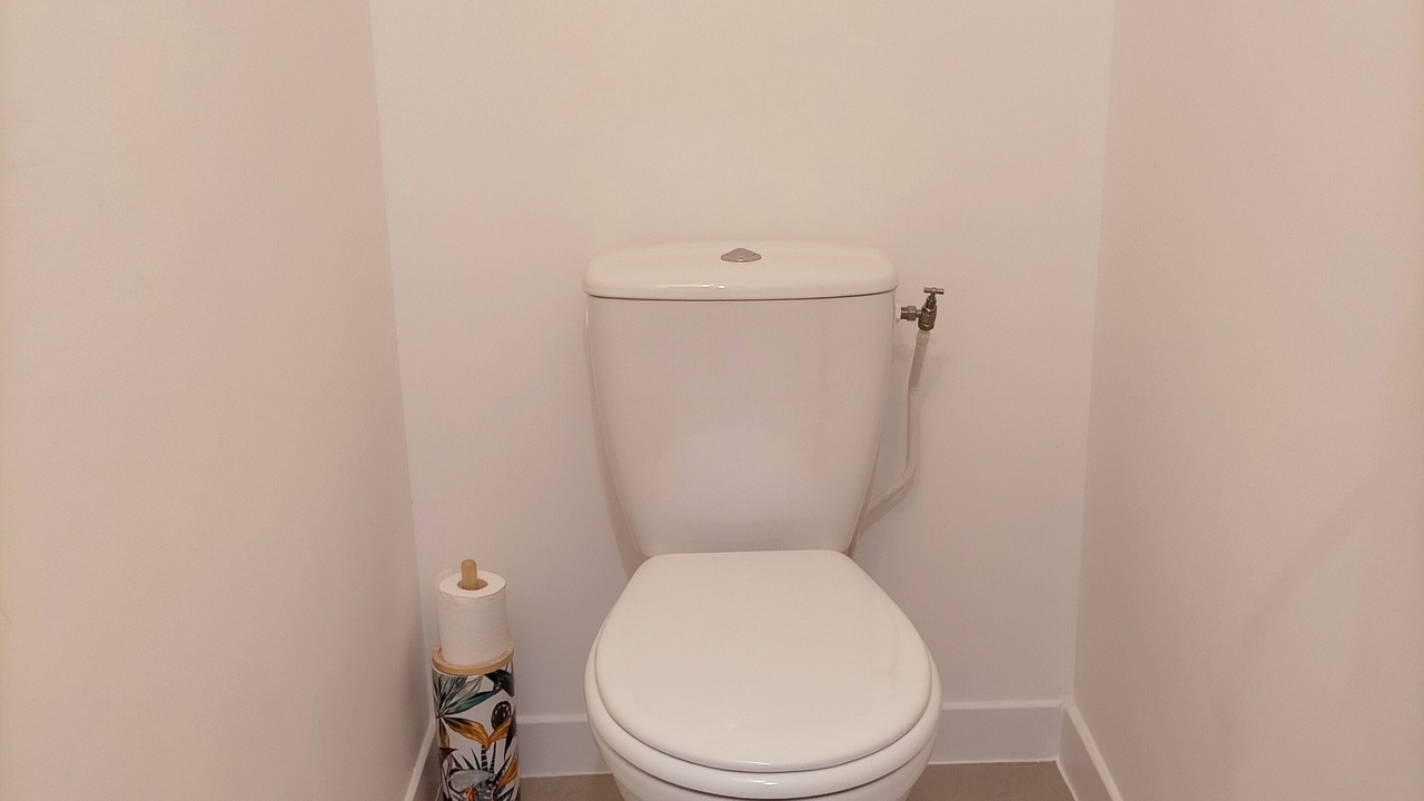 Photo of Bathroom in Vertrieu