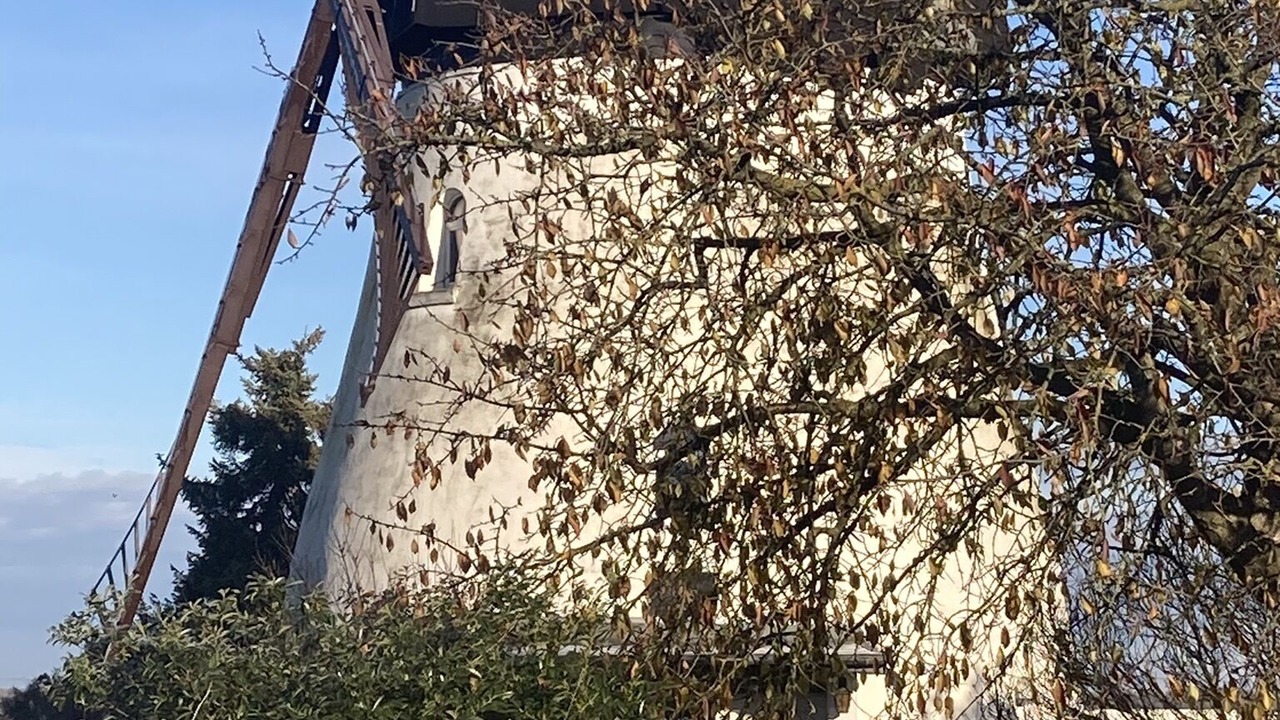 Photo of Outdoor in Ohrdorf