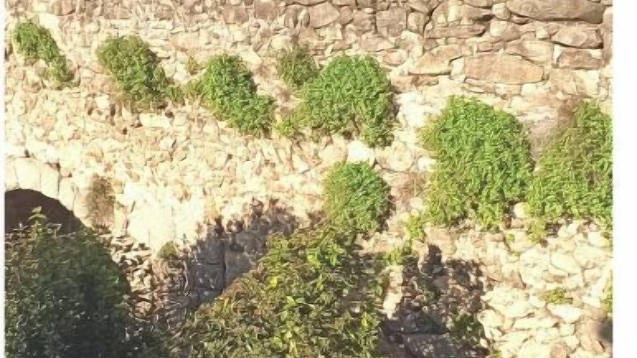 Photo of Outdoor in Arenas de San Pedro